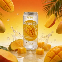 Boisson énergisante pétillante Elisha 350ml Produit chaud Arômes de fruits Ingrédients sains Adultes Canette Boisson gazeuse aromatisée aux fruits Bon marché