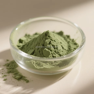 Polvo de extracto de hoja de morera orgánica de grado alimenticio 0.5% DNJ 1-deoxinojirimicina Extracto de hierbas con clorofila 1kg pedido mínimo - Product Image 2