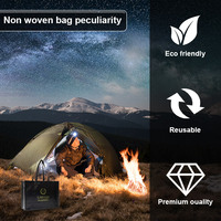 Bolsa de Compras Reutilizable de Polipropileno No Tejido, Ecológica, con Logotipo Personalizado, Venta al Por Mayor