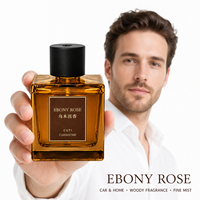 Diffuseur de parfum de luxe OEM/ODM 500 ml, diffuseur d'arômes, désodorisant d'ambiance, diffuseur de parfum pour la maison, humidificateur à brume