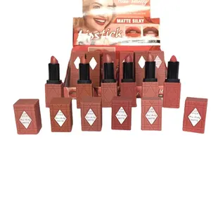 Hochwertiges Make-up-Lippenstift-Set mit mattem, nicht verblassen dem Lippenglasur-Lippenstift mit hohem Pigment gehalt