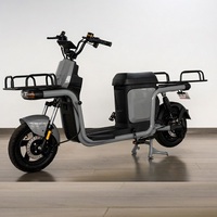 Nouvelle conception de scooter électrique, moto Kiwo Style, moteur 800W/500W, moteur à moyeu arrière, cadre en alliage, vélo électrique à 2 roues
