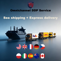 Transitaire international DDP DAP DDU Chine vers les États-Unis, le Royaume-Uni, l'UE, agent d'expédition express aérien et maritime