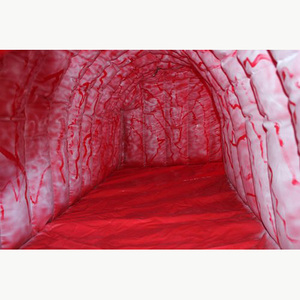 Modelo Anatómico Inflable Gigante <span class=keywords><strong>de</strong></span> Estómago en Tela Oxford para Exhibición Educativa sobre Salud Digestiva - Product Image 4
