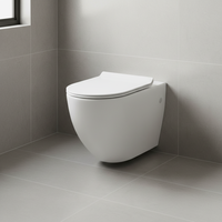 Offre Spéciale – WC suspendu monobloc en céramique blanche de haute qualité, style européen, pour salle de bain – Fabricant d'articles sanitaires