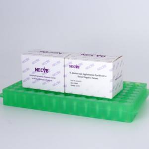 Kit per il Test dell'agglutinazione della Salmonella Abortus Equi | Reagente diagnostico veterinario ad alta specificità per l'aborto equino - Product Image 6