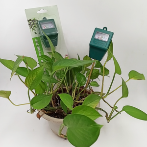 पोर्टेबल मिट्टी पीएच PH-300-1 Potplant के लिए परीक्षक मीटर - Product Image 5