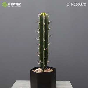 Artificial Cactus Potted <b>Plant</b> High Simulation <b>Plastic</b> Desktop Decor For Indoor Outdoor Use - Product Image 5