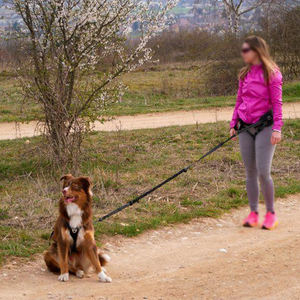 Thiết Kế Mới Xuất Khẩu Chất Lượng Ngoài Trời Săn Bắn Chó Vest Không Kéo Con Chó Khai Thác Cho Lĩnh vực Săn Bắn - Product Image 5