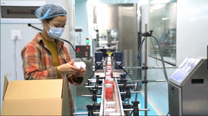 Concentrado de Proteína de Res de Nueva Zelanda Alimentada con Pasto en Polvo OEM, Aislado de Proteína de Suero Sin Sabor para Aumentar de Peso - Product Image 4