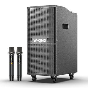 Ban đầu W-King K20 dòng mảng Loa 260W tủ gỗ hội nghị loa không dây guitar DJ tiệc karaoke ngoài trời - Product Image 2