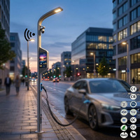 Productos para Ciudades Inteligentes, Farola Inteligente Integrada con Cámara CCTV, WiFi con Pantalla y Sistema de Carga Inalámbrica