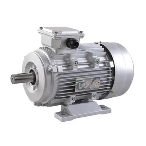 Asynchrone Motor 200kwr Drie Fase Ac Motor 15000 Rpm Inductiemotor 2.2kw Elektricni Motori