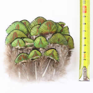Piume di fagiano naturale <span class=keywords><strong>pavone</strong></span> turchia 8-13cm gioielli fai da te accessori artigianato materiale per legare a mosca pennacchio all'ingrosso - Product Image 2