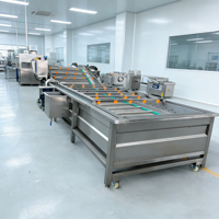 Industriële wasinstallatie voor het reinigen van fruit en groenten met hogedruksproeier/bellencombinatie voor groenteverwerkingsbedrijven