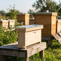 2-Rahmen-Zuchtbox aus neuseeländischem Kiefernholz für Bienenköniginnen, Paarungsbox für die Imkerei