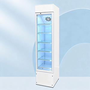 Vitrine Réfrigérée Commerciale pour Crèmes Glacées, <span class=keywords><strong>Armoire</strong></span> Verticale Ultra-Mince à Porte Vitrée pour Présentation de Crèmes Glacées - Product Image 6