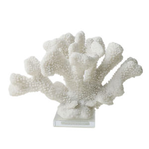 Résine de corail blanc, pour <span class=keywords><strong>Aquarium</strong></span> vifs, prix d'usine - Product Image 1