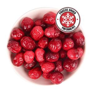 OEM 100% doğal dondurarak kurutma <span class=keywords><strong>vegan</strong></span> köpek bakımı ananas toptan toplu ve OEM ambalaj - Product Image 4