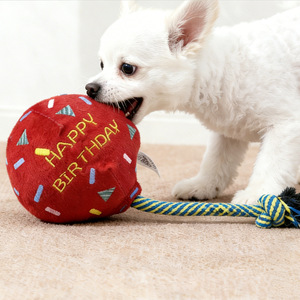 Jouet en peluche pour chien en forme de ballon avec nœud de corde, jouet à mâcher d'intérieur qui fait du bruit pour chiens de compagnie - Product Image 2