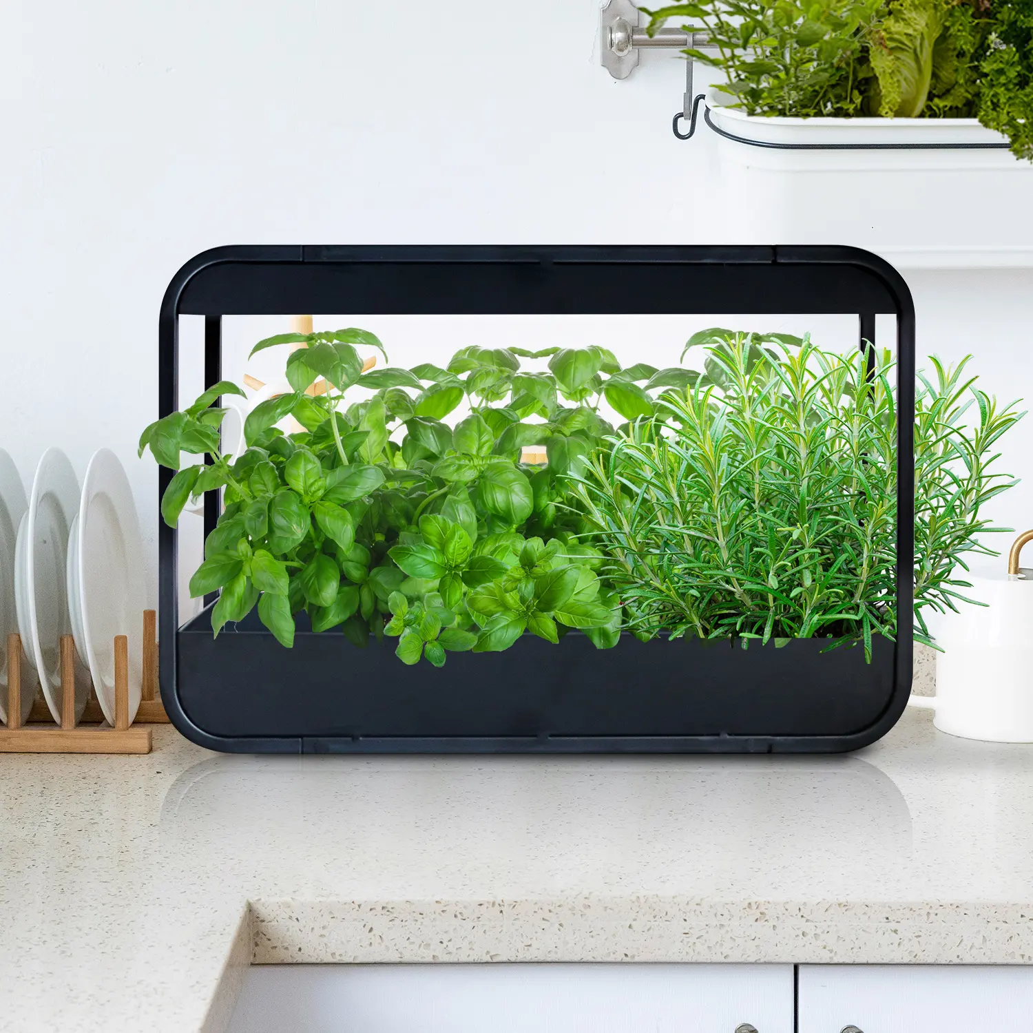 LED giardino interno in metallo cucina giardino interno con pianta coltiva la luce kit da giardino per erbe da parete