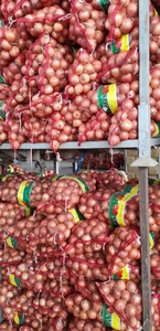Fresh Red Purple <strong>Onion</strong> Supplier | Premium Quality <strong>Export</strong> From Shandong Non-Peeled 12 Month Shelf Life - Product Image 5