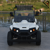 Buggy électrique UTV dune 2022 W 2000W, prix usine 3000
