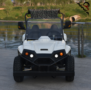 <span class=keywords><strong>Buggy</strong></span> électrique UTV dune <span class=keywords><strong>2022</strong></span> W 2000W, <span class=keywords><strong>prix</strong></span> usine 3000 - Product Image 2