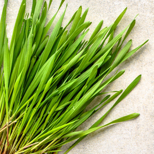 Fournisseur <span class=keywords><strong>d</strong></span>'usine Ciyuan, prix de gros, haute qualité, c pour complément nutritionnel - Product Image 6