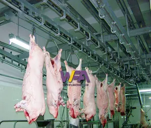 Complete 50 Pig Per Shift Abattoir Machine Small Slaughterhouse Butcher Equipment for Meat Rail System