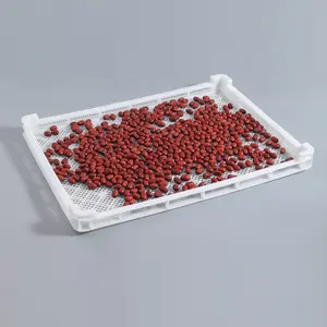 China Manufacture PP Material Perforated Jelly Candy Plastic Dehydration Tray With Legs