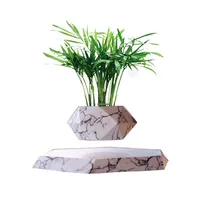 Maceta flotante artificial para plantas, taza de bonsái de levitación magnética, regalos personalizados, enamórate de los regalos decorativos minimalistas