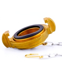 Bouchon d'obturation de protection et d'étanchéité en laiton jaune durable pour raccord de réducteur de chaîne DN50 SH