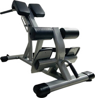 Banc d'hyperextension réglable de type chaise romaine pour salle de sport à domicile, entraînement musculaire, machine d'extension dorsale robuste