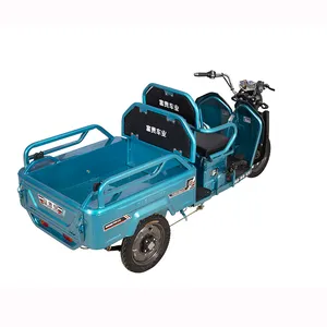 2 Passengers and Cargo e Tricycle 3 Wheel Electric Tricycle for Adults
