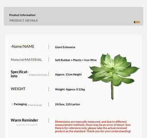 Suculenta Artificial <span class=keywords><strong>Echeveria</strong></span> al por Mayor, <span class=keywords><strong>Planta</strong></span> Artificial de Tacto Suave para Decoración del Hogar, Oficina y Terrario - Product Image 6