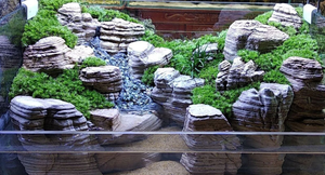 Pesce giallo linea sottile modello acquamarina natura Decore Melaleuca pietra - Product Image 3