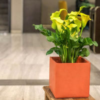 Grand pot carré en béton orange, épais et respirant, pour plantes vertes d'intérieur, couleur et logo personnalisés, vente en gros