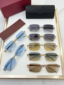 <span class=keywords><strong>Lunettes</strong></span> <span class=keywords><strong>de</strong></span> <span class=keywords><strong>Soleil</strong></span> <span class=keywords><strong>de</strong></span> Designer Rétro en Métal Forme Découpée Léopard UV400, Haute Qualité avec Logo Personnalisé - Product Image 2