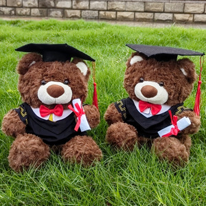 Oso de Peluche de Graduación, Regalo para Licenciatura/Maestría/Doctorado, Juguete de Peluche con Relleno de Algodón PP, Altura de 31-50 cm - Product Image 1
