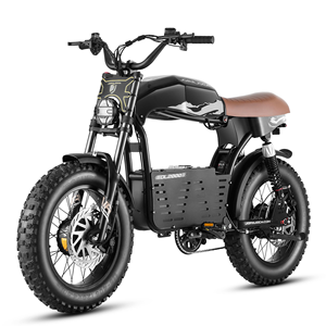 จักรยานเสือภูเขาไฟฟ้า Eahora Romeo DL2000 ขนาด 20 นิ้ว โครงเหล็กกล้าคาร์บอนความแข็งสูง แบตเตอรี่ลิเธียม 52V 30AH - Product Image 1