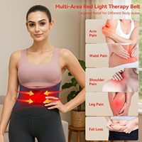 Ceinture de thérapie par la lumière rouge sans fil rechargeable 5000mAh 660 & 850 nm Dispositif de thérapie par la lumière rouge pour le soulagement de la douleur