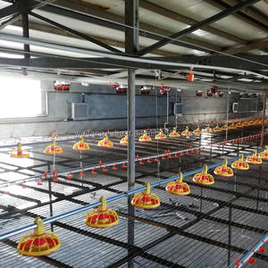 กล่องวางไข่อัตโนมัติ U-Best รุ่นใหม่ สำหรับไก่ไข่แบบปล่อยอิสระ  พร้อมระบบเก็บไข่อัจฉริยะ รุ่น 1.5 - Product Image 6