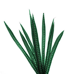 Usine En Gros 60-110cm Simulé Femelle Mâle <span class=keywords><strong>Faisan</strong></span> Queue DIY Chapeaux Accessoires Lady Amherst <span class=keywords><strong>Faisan</strong></span> Queue Plumes - Product Image 6