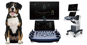 Ecógrafo Portátil Mindray Vetus 9 Nuevo de Alta Calidad, Escáner de Ultrasonido Doppler a Color 3D, Escáner de Ultrasonido Veterinario para Mascotas - Product Image 6