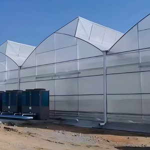 Invernadero Tipo Túnel Pequeño de un Solo Tramo, Diseño Plegable, Película de PE Transparente Estable, Fácil Montaje, Cultivo de <span class=keywords><strong>Remolacha</strong></span> por Temporada - Product Image 1