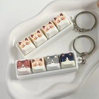 4 1 Keycaps de clavier mécanique en acrylique personnalisé, type Cherry R4, porte-clés de décompression, bouton anti-stress DIY, clicker de doigt