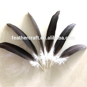 판매를 위한 다른 크기를 가진 대중적인 독수리 깃털 - Product Image 5