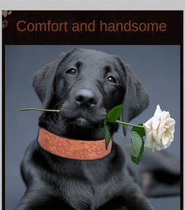 Luxury PU Leather <strong>Dog</strong> <strong>Collar</strong> for Large <strong>Medium</strong> &amp; Small <strong>Dogs</strong> Embossed Print &amp; Ribbons Decoration Solid Pattern Cotton <strong>Padded</strong> - Product Image 3