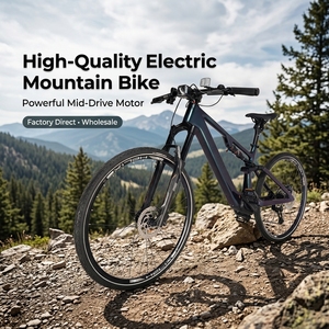 Vélo de montagne électrique Seeker de haute qualité, version personnalisée pour flotte, cadre en fibre de carbone, service de logo OEM pour ODM - Product Image 1